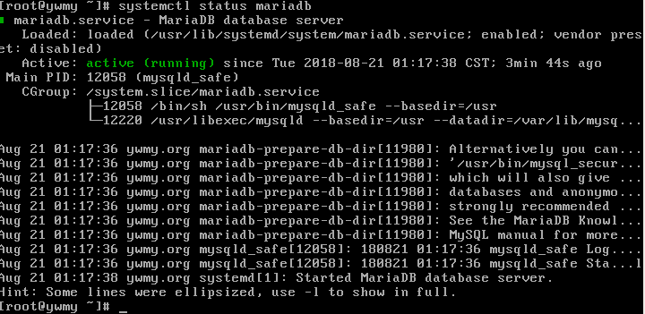 mariadb status